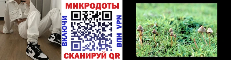 Галлюциногенные грибы GOLDEN TEACHER  Кяхта 